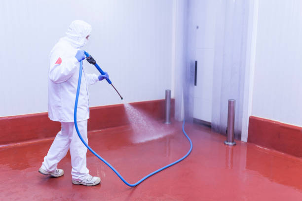 Best Residential Pressure Washing in Weaver, AL